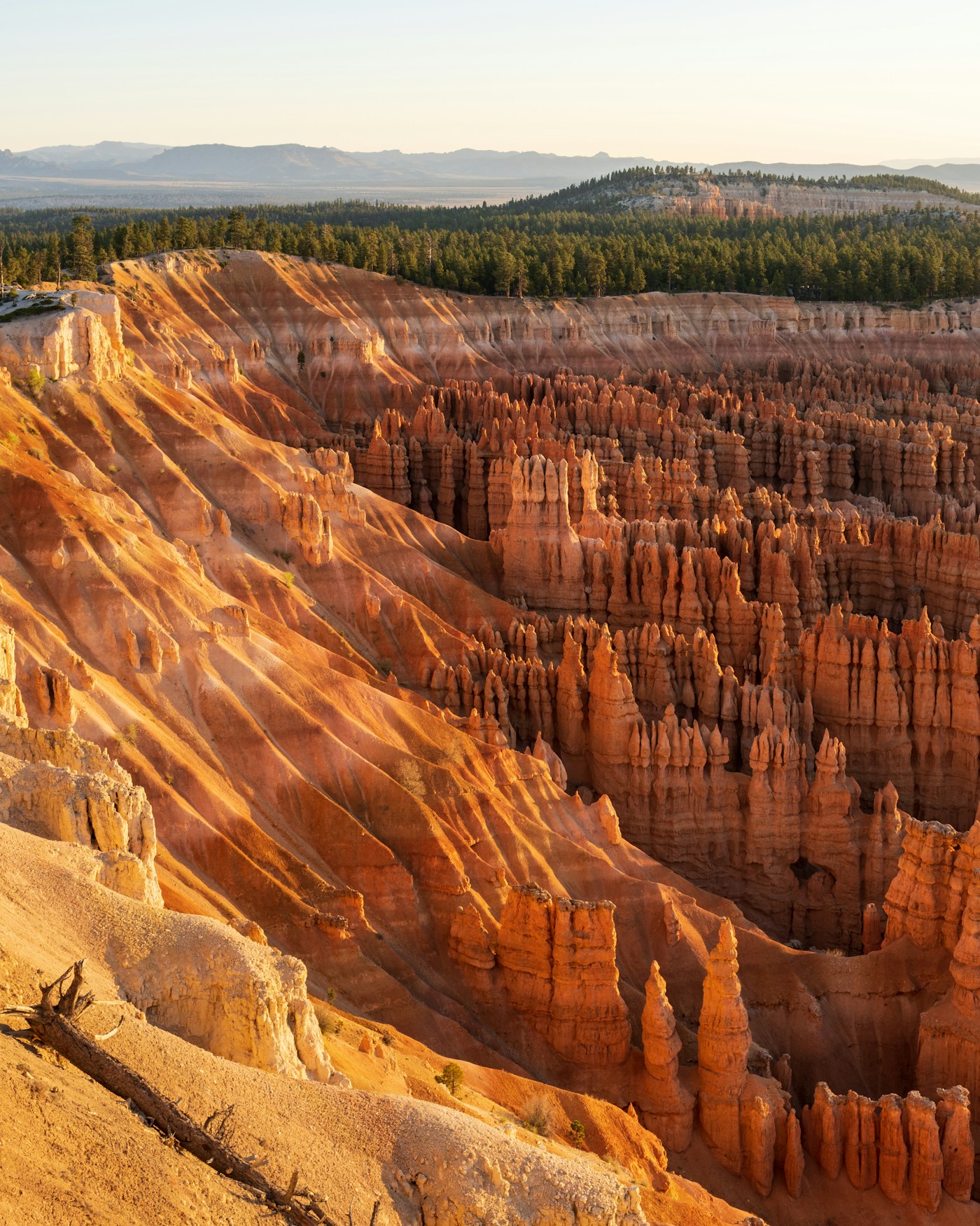 Las Vegas · Zion · Bryce · Grand Canyon